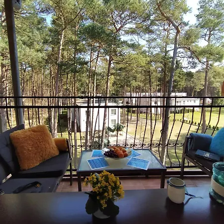 Sunrise Blue Mare Łukęcin