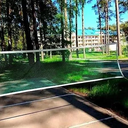 Sunrise Blue Mare * Łukęcin