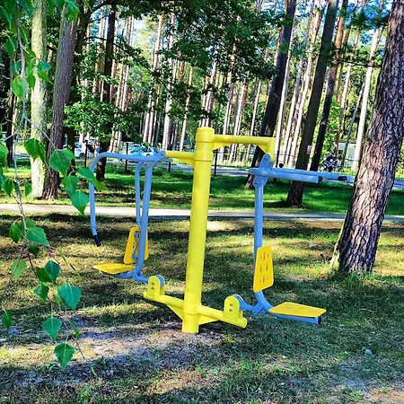 Sunrise Blue Mare * Łukęcin